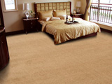 Hotel carpet cleaning